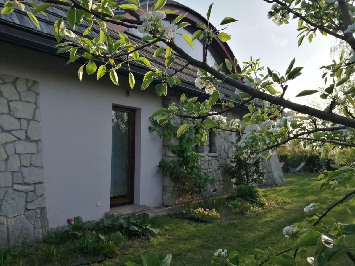 Apartment Roma
