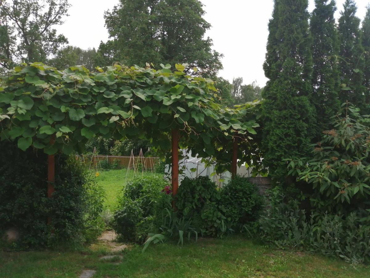 Apartment Roma